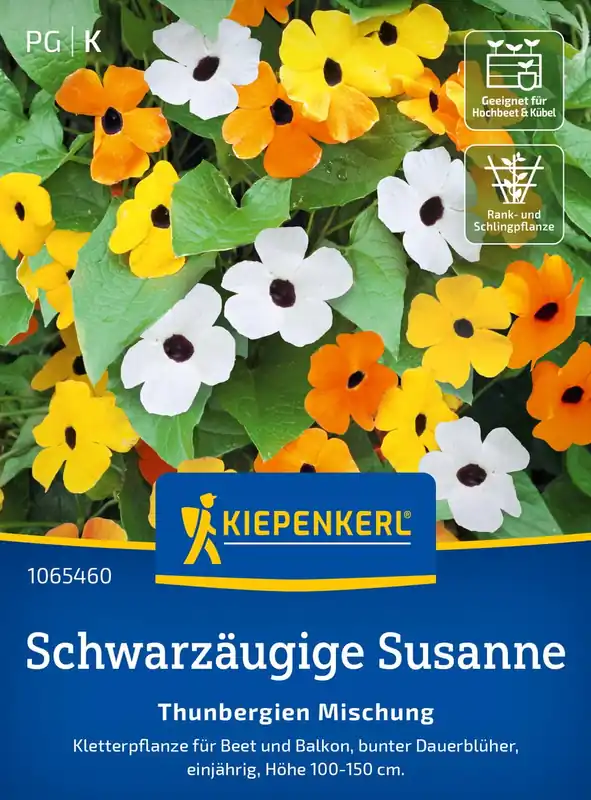 Topprijs | Kiepenkerl Suzanne-met-de-mooie-ogen "Thunbergien Mix"