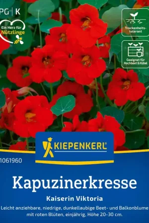 Topkwaliteit | Kiepenkerl Oost-Indische Kers "Kaiserin Viktoria"