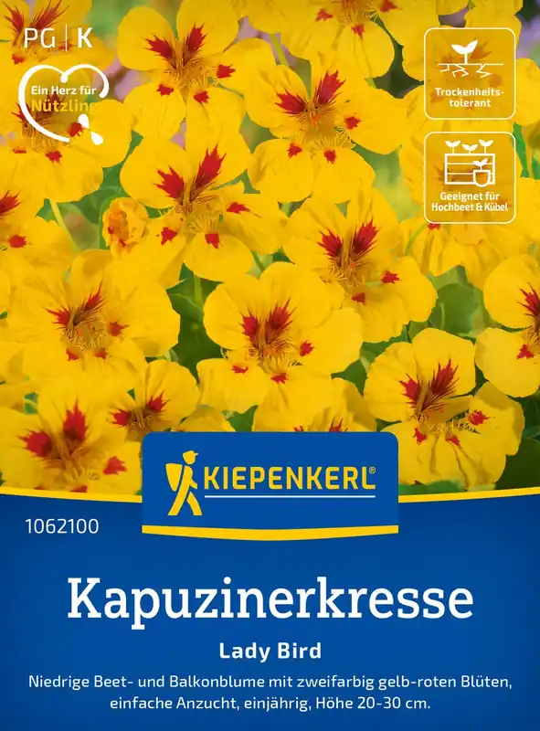 Premium - Kiepenkerl Oost-Indische Kers “Lady Bird”