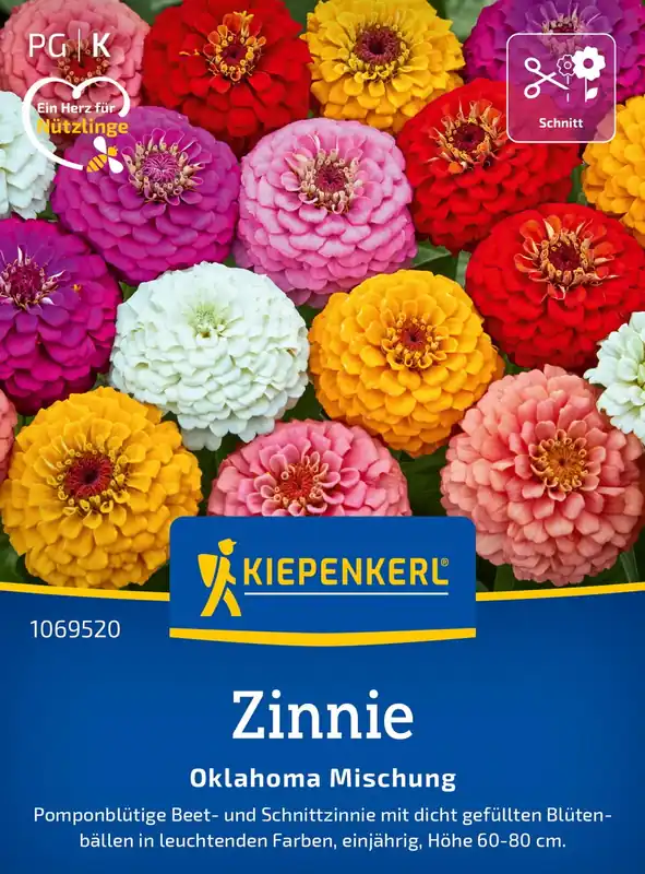 Kiepenkerl Zinnia "Oklahoma Formelmischung" - Beste prijs