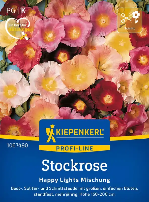 Kiepenkerl Stokroos - Happy Lights | Bespaar nu