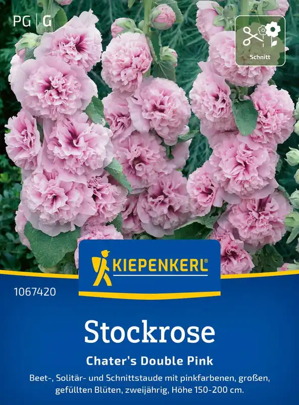 Lage prijs - Kiepenkerl Stokroos "Chaters Double Pink"