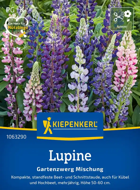 Nieuw in de shop - Kiepenkerl Lupine "Gartenzwerg Mix"