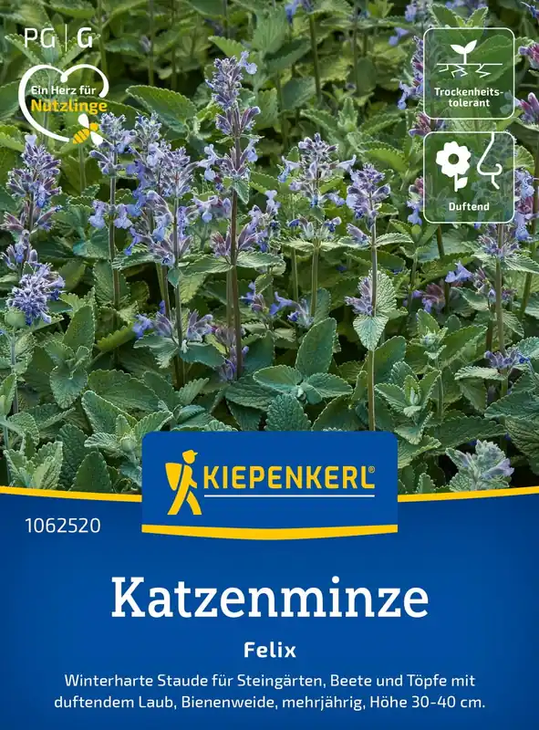 Veel gevraagd | Kiepenkerl Kattenkruid "Felix"