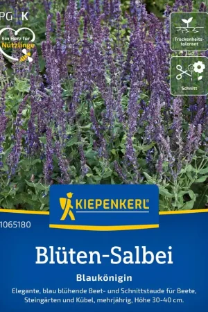 Topproduct - Kiepenkerl Bossalie “Blue Queen”