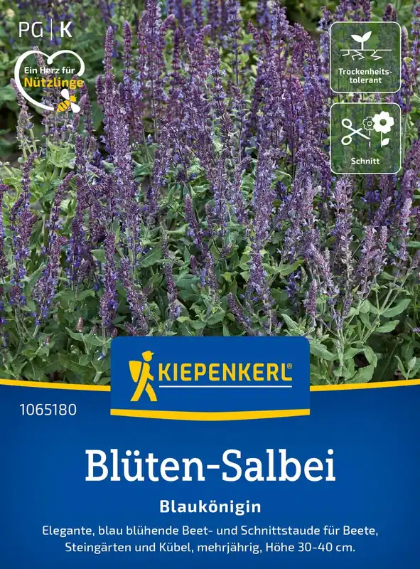 Topproduct - Kiepenkerl Bossalie “Blue Queen”