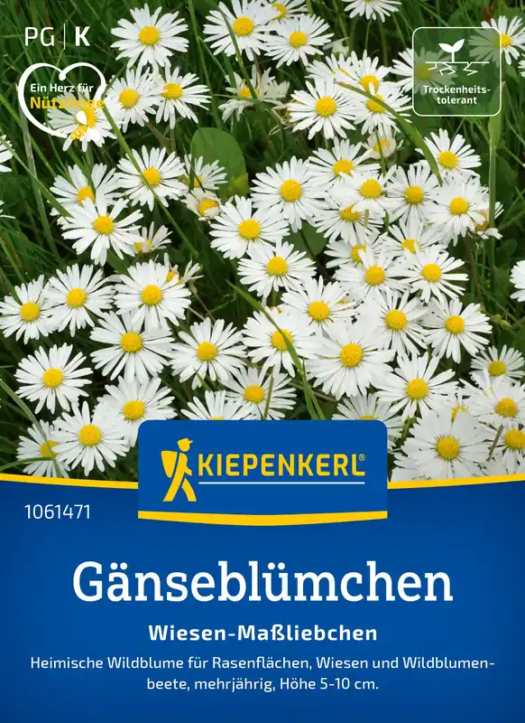 Premium | Kiepenkerl Madeliefjes