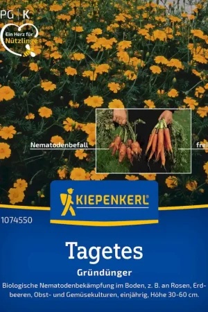 Kiepenkerl Afrikaantje "Single Gold" (Nematodendoder) - Nog enkele stuks