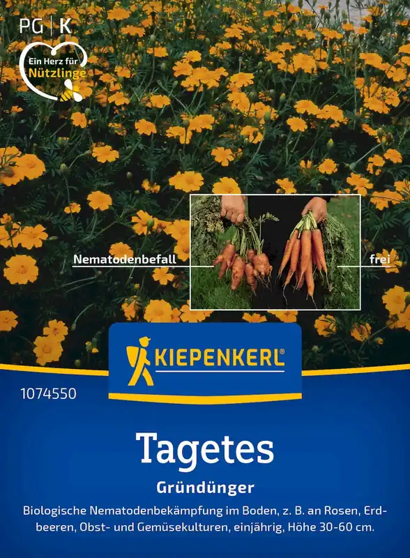 Kiepenkerl Afrikaantje "Single Gold" (Nematodendoder) - Nog enkele stuks