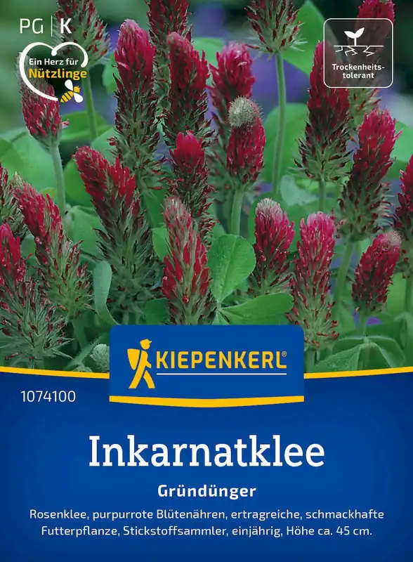 Zojuist toegevoegd - Kiepenkerl Inkarnaatklaver