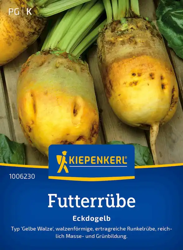 Kiepenkerl Voederbiet "Eckdogelb" - Profiteer nu