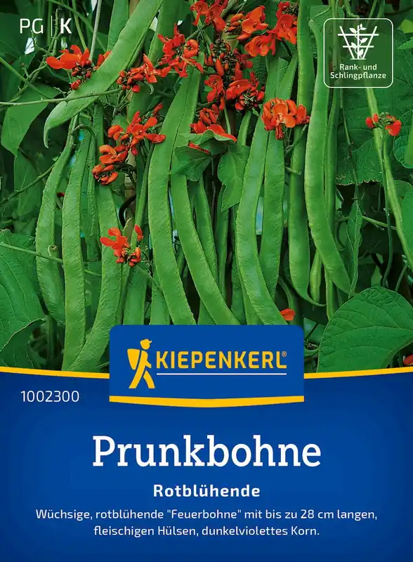 Deal | Kiepenkerl Pronkbonen "Rotblühende"
