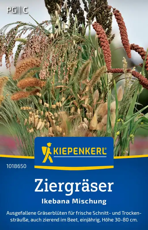 Makkelijk bestellen | Kiepenkerl Siergrassen - Ikebana Mix