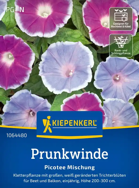 Kiepenkerl Dagbloemen "Picotee Mix" | Dagdeal