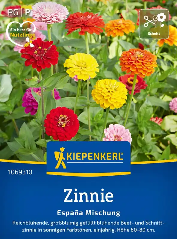 Kiepenkerl Zinnia‘s "España Mix" | Nieuw product