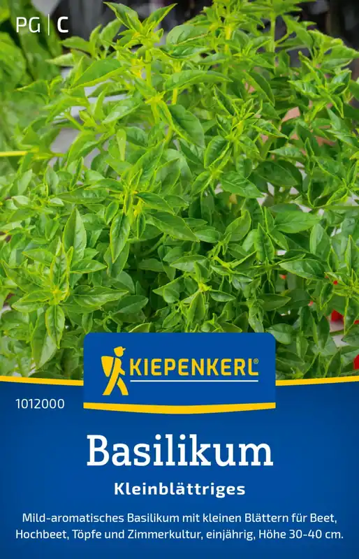 Kiepenkerl Kleinbladige Basilicum | Direct beschikbaar