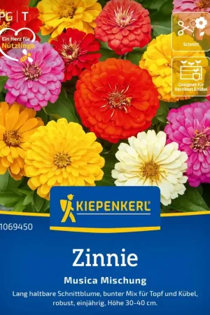 Speciale aanbieding | Kiepenkerl Zinnia "Musica"