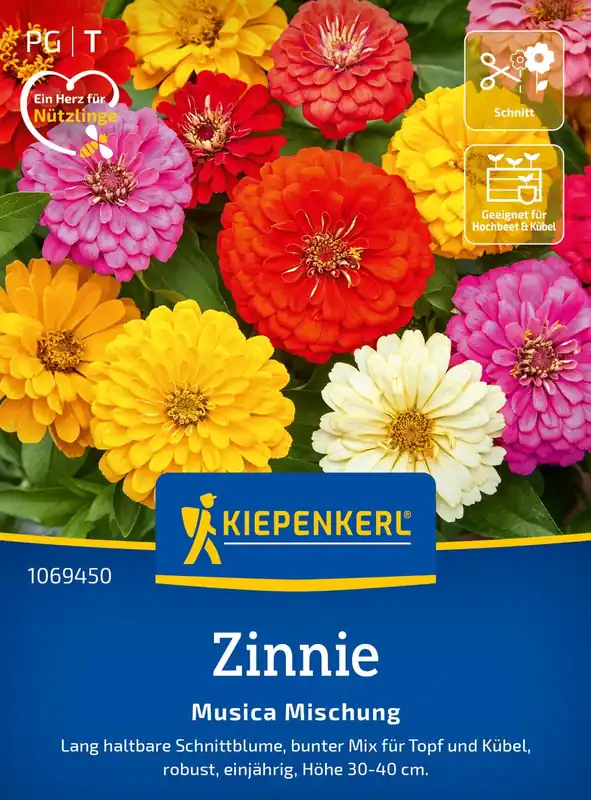 Speciale aanbieding | Kiepenkerl Zinnia "Musica"