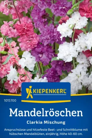 Kiepenkerl Amandelroosje "Clarkia Mischung" - Prijs verlaagd