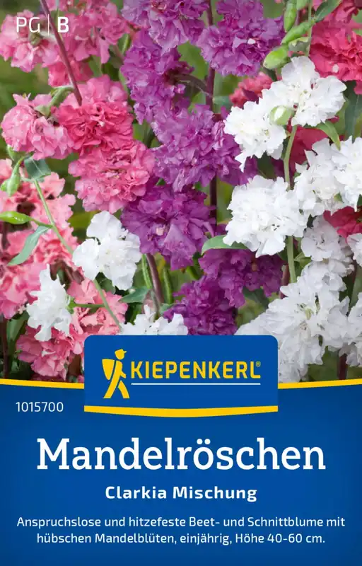 Kiepenkerl Amandelroosje "Clarkia Mischung" - Prijs verlaagd