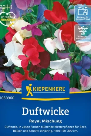 Tijdelijke actie - Kiepenkerl Welriekende Lathyrus Royal Mix