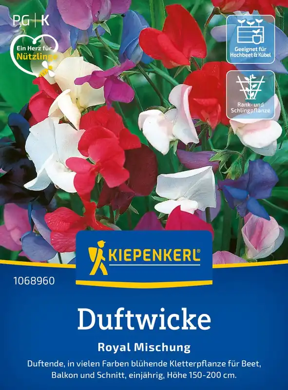 Tijdelijke actie - Kiepenkerl Welriekende Lathyrus Royal Mix