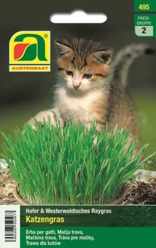 AUSTROSAAT Kattengras - Direct van de fabrikant