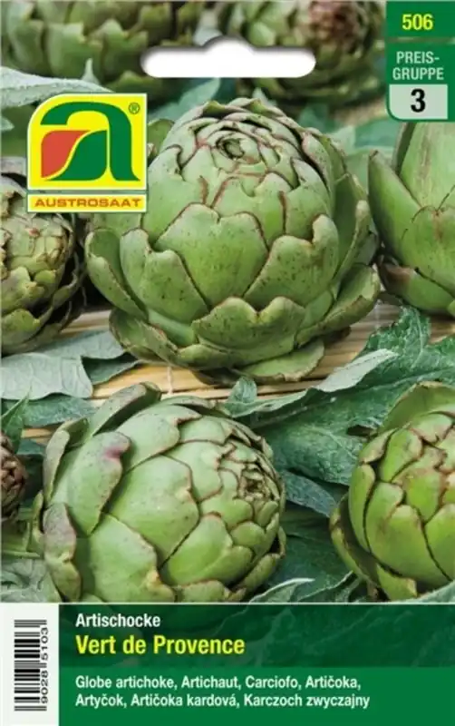AUSTROSAAT Artisjok Verte de Provence | Bestelbaar