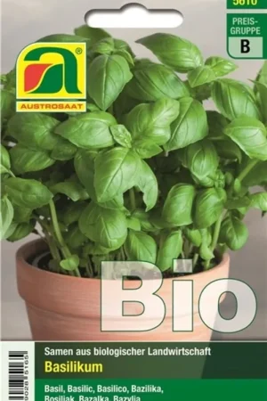 AUSTROSAAT Biologisch Basilicum Hohes Grünes | Profiteer nu