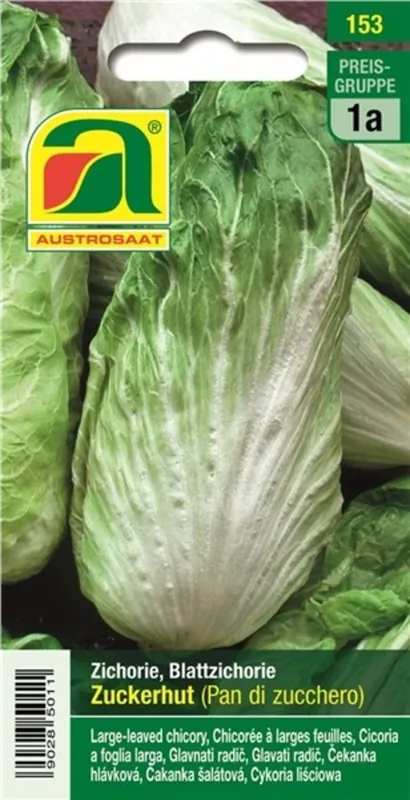 Nieuw in de shop | AUSTROSAAT Witlof Zuckerhut