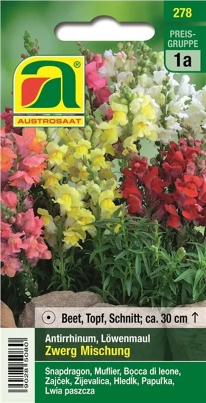 AUSTROSAAT Leeuwenbek Dwarf Mixture - Veel gevraagd