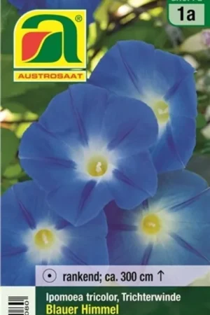 Alleen vandaag | AUSTROSAAT Klimmende Winde Ipomoea - Blauer Himmer Mix