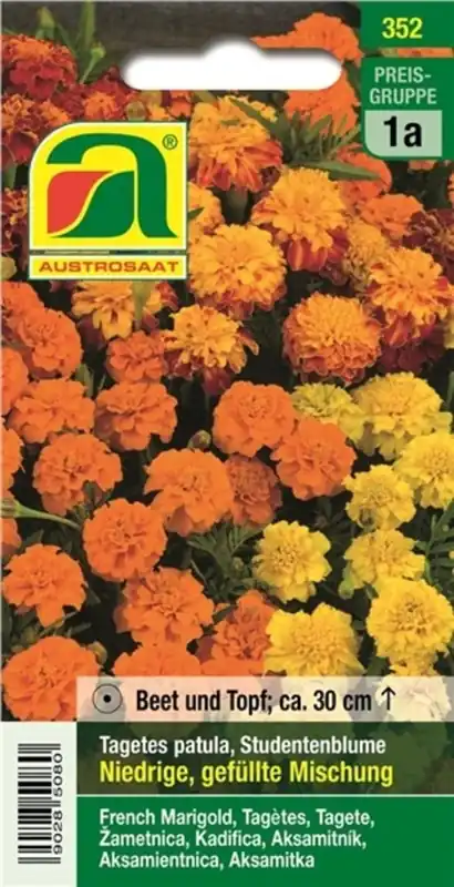 AUSTROSAAT Tagetes Mix - Direct beschikbaar