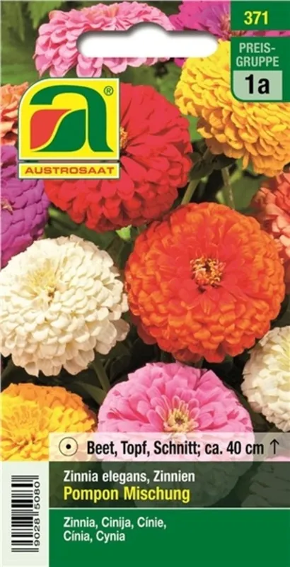 AUSTROSAAT Zinnia Niedrige Pompon Mix | Flitsaanbieding