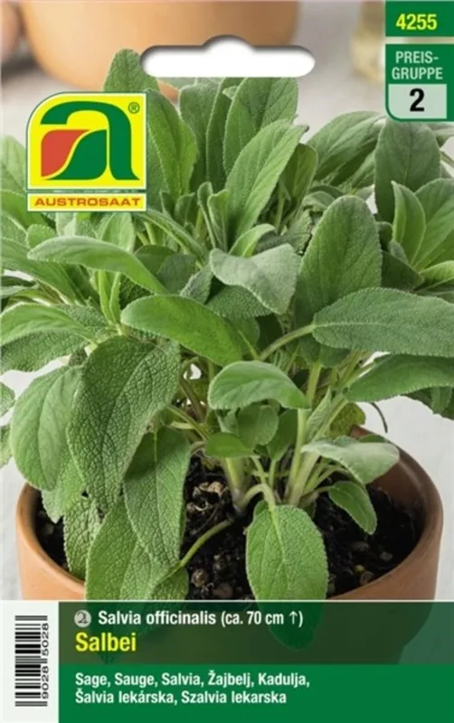 Nieuw product | AUSTROSAAT Salie