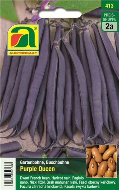 AUSTROSAAT Sperzieboon Purple Queen - Direct leverbaar