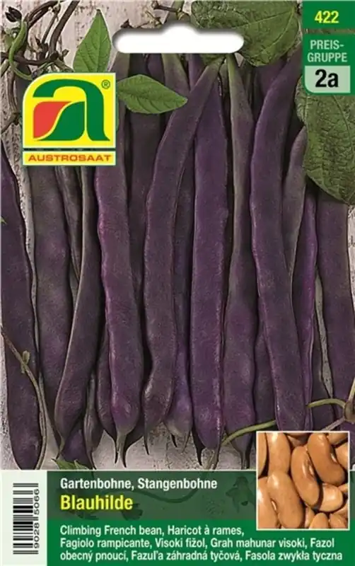 AUSTROSAAT Sperzieboon Blauhilde - Korting