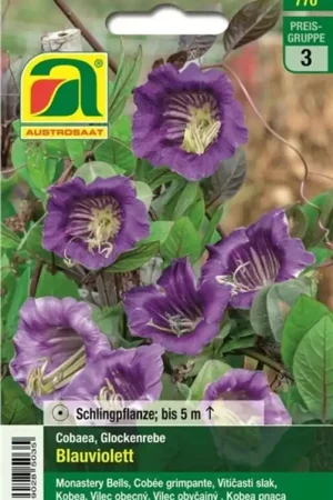 Wees er snel bij - AUSTROSAAT Klokwinde Blauviolett