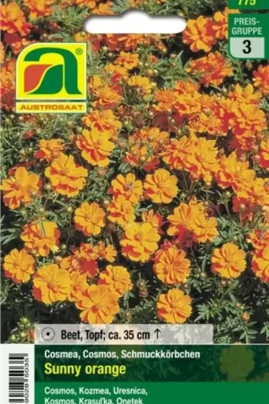 AUSTROSAAT Cosmea Sunny Orange - Nieuw gelanceerd