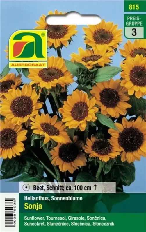AUSTROSAAT Helianthus Sonja Mix | Klantfavoriet