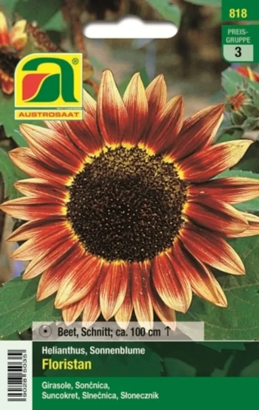AUSTROSAAT Zonnebloem Floristan - Scherpe prijs