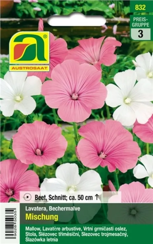 Rechtstreeks uit de fabriek | AUSTROSAAT Bekermalva "Lavatera trimestris" Mix, Austrosaat