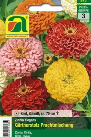 Veel gevraagd - AUSTROSAAT Zinnia Gärtnerstolz Prachtmischung