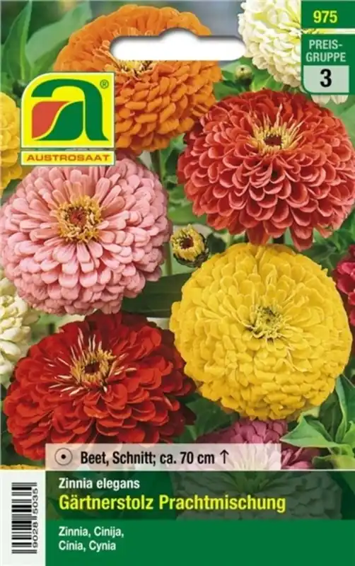 Veel gevraagd - AUSTROSAAT Zinnia Gärtnerstolz Prachtmischung