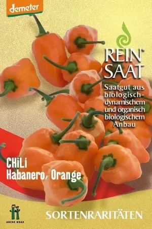 ReinSaat Chili "Habanero Orange" | Tijdelijke aanbieding