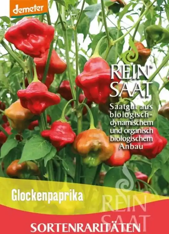 ReinSaat Paprika "Glockenpaprika" - Fabrieksprijs