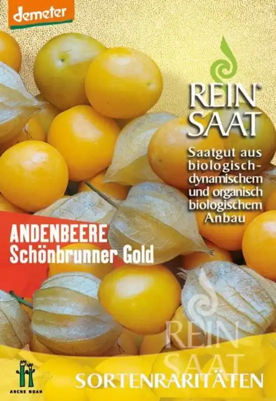 ReinSaat Zeldzame Schönbrunner Gold Physalis - Zeer goed beoordeeld