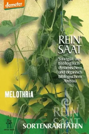 Aanrader | ReinSaat Zeldzame soort "Melothria"