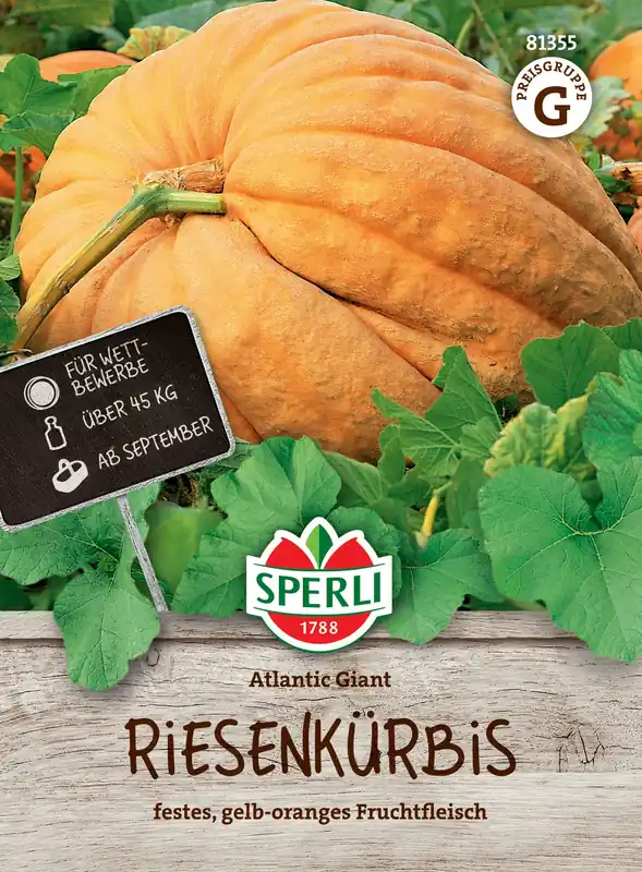 Sperli Pompoen "Gran gigante" | Extra korting