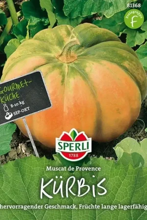 Aanrader - Sperli Pompoen "Muscat de Provence"